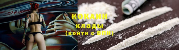 гашик Алзамай